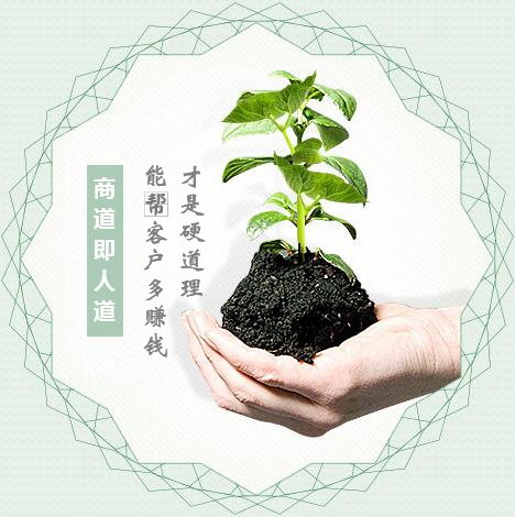 蔬菜種子經(jīng)營，商道即人道