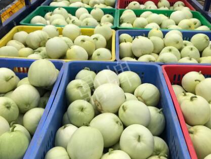 蔬菜種子種植戶客戶點(diǎn)評(píng)-5元1斤，這個(gè)新品種真香甜！