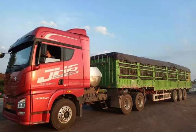 種南瓜竟然種出“麻煩”了，瓜販搶購(gòu)，電視臺(tái)記者也趕來(lái)了