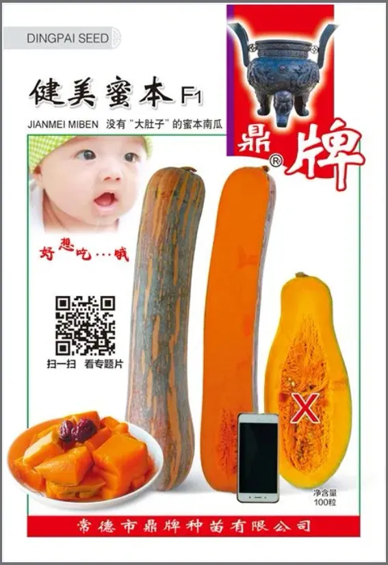 3元1斤的健美蜜本南瓜快成熟了，緬甸種植戶發(fā)來(lái)圖片與視頻