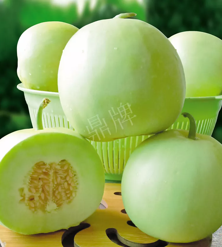 7元一斤還遭瘋搶?zhuān)€收益超2萬(wàn)元！到底什么甜瓜能這么牛？