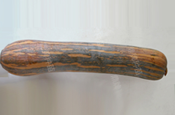 知道最甜最面的南瓜品種嗎？盤點十種有營養(yǎng)的甜面南瓜...