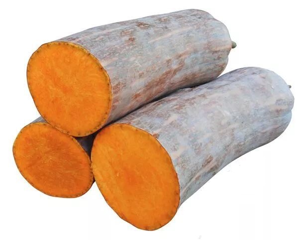 生吃都好吃南瓜新品種，沒有大肚子，肉質(zhì)更密致，農(nóng)戶試種下