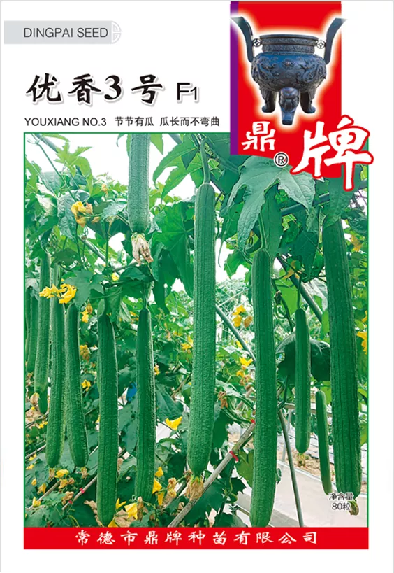 它是絲瓜種植戶的新選擇，節(jié)節(jié)有瓜，瓜長而不彎曲