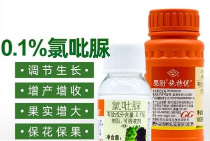 蔬菜種子栽培技術-<b>正確使用“氯吡脲”，瓜類增產30～50%</b>