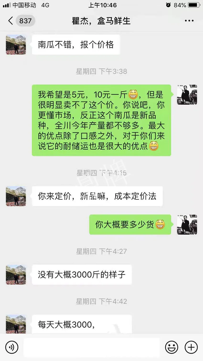 四川農(nóng)戶今年種“健美蜜本”南瓜產(chǎn)量高，品質(zhì)好，感覺巴適得很