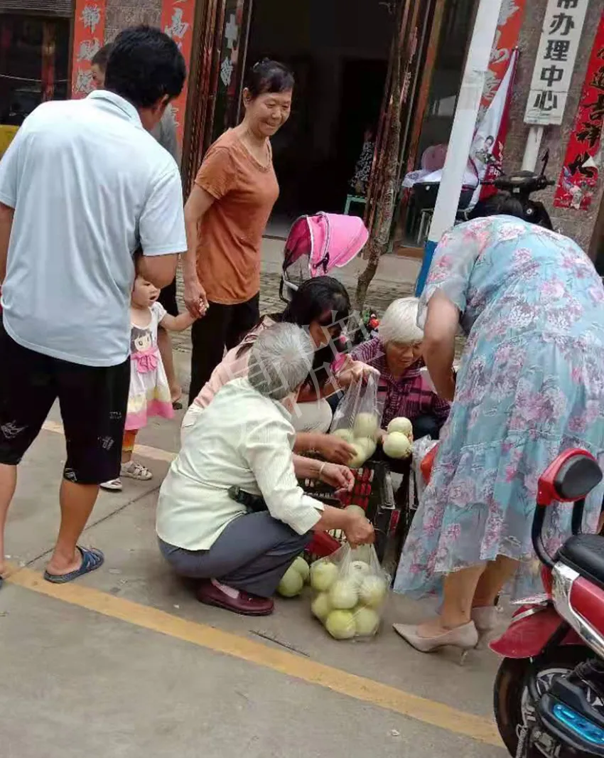 其他品種的甜瓜2塊1斤都賣不動，我的玉奶香2號甜瓜2塊5直接搶