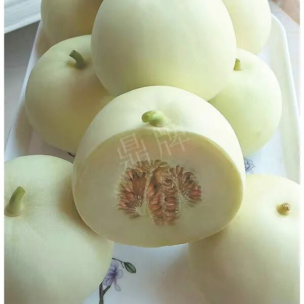 蔬菜種子種植戶種植心得-這個品種幫我留一些，4月份我們當?shù)剡€要種一批